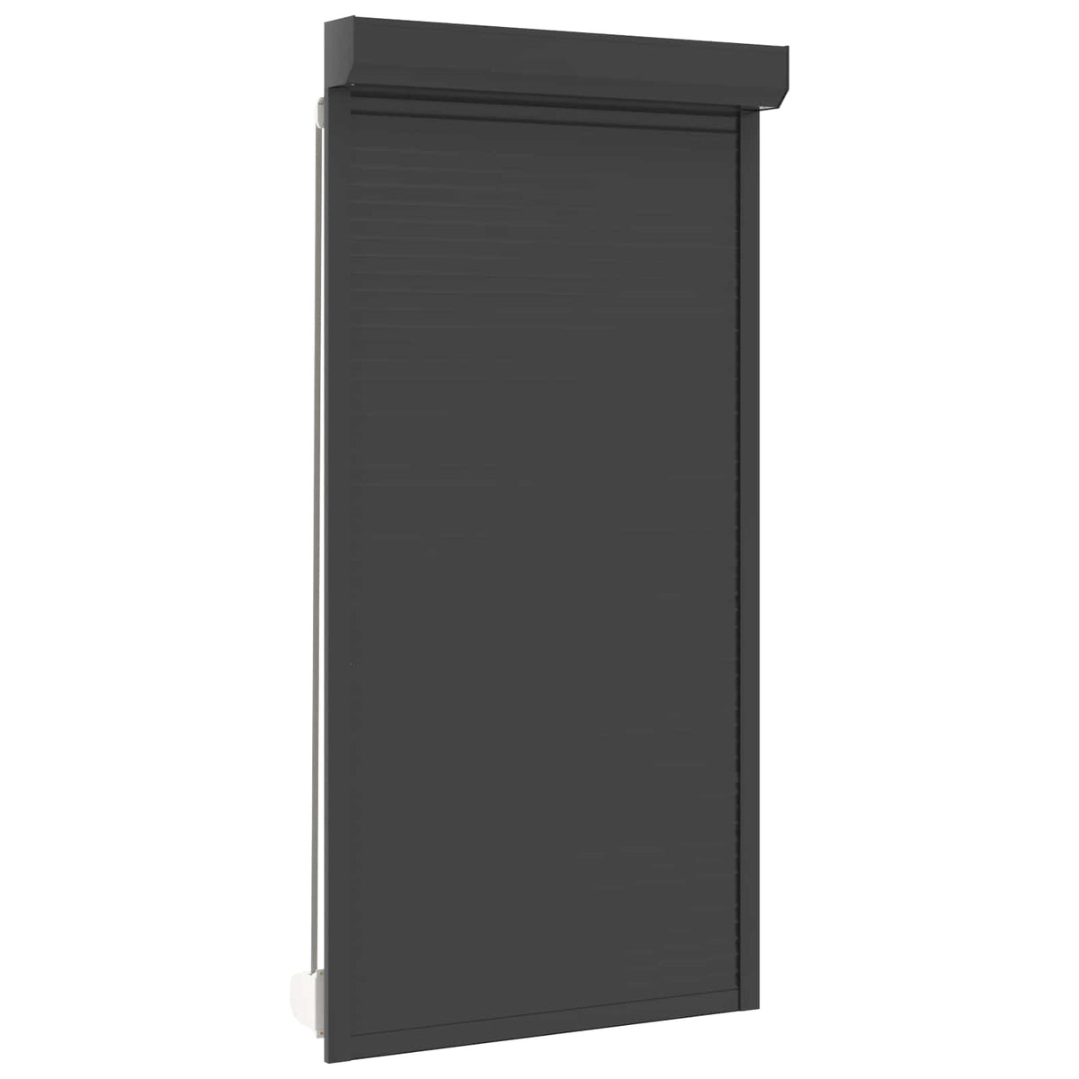 vidaXL Roller Shutter Manual Anthracite 110 x 220 cm 2