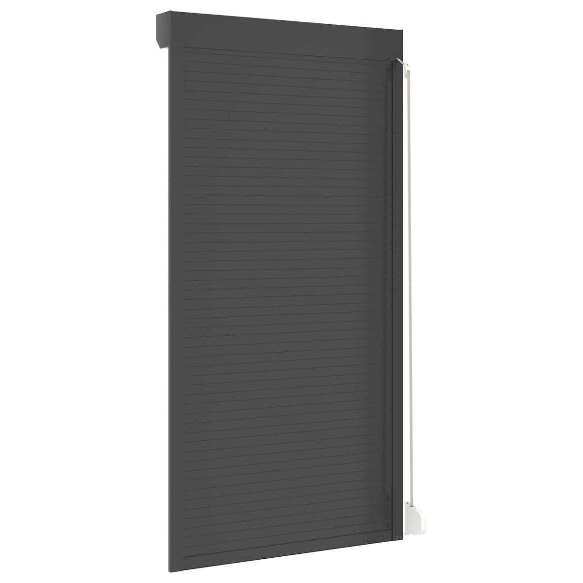vidaXL Roller Shutter Manual Anthracite 110 x 220 cm 6