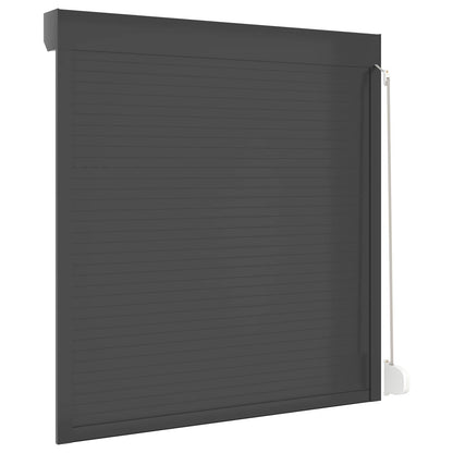 vidaXL Roller Shutter Manual Anthracite 140 x 150 cm 6