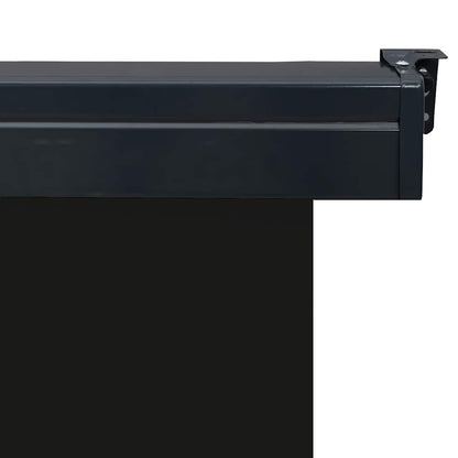 Balcony Side Awning 65 x 250 cm Black