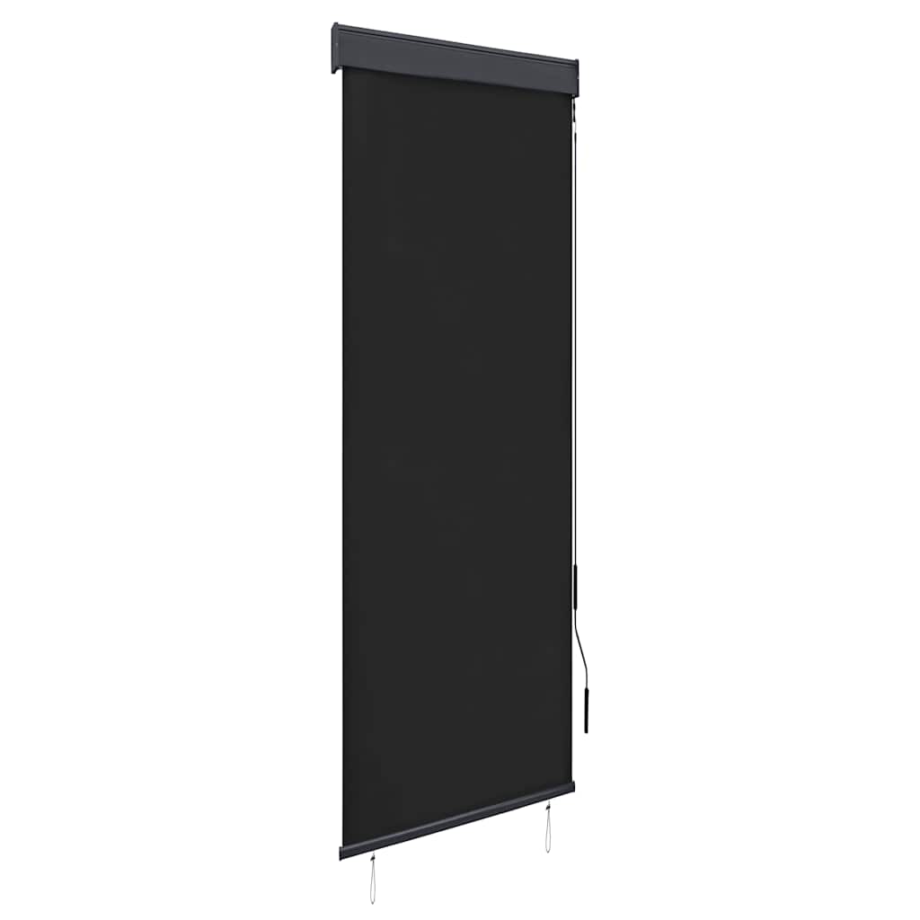 Outdoor Roller Blind 60 x 250 cm Anthracite