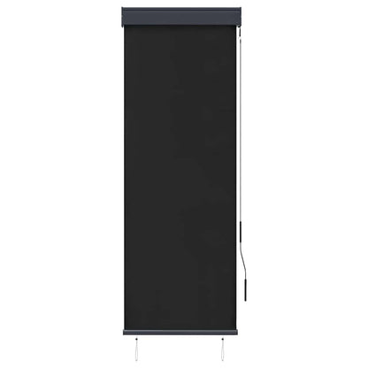 Outdoor Roller Blind 60 x 250 cm Anthracite