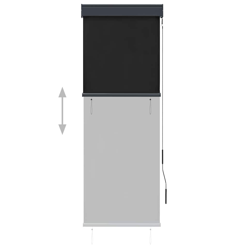 Outdoor Roller Blind 60 x 250 cm Anthracite