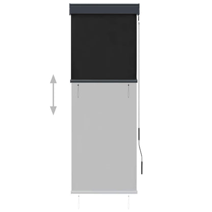 Outdoor Roller Blind 60 x 250 cm Anthracite