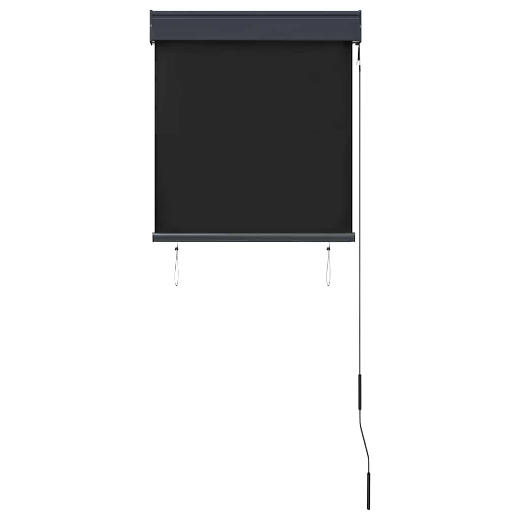 Outdoor Roller Blind 60 x 250 cm Anthracite