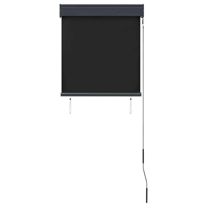 Outdoor Roller Blind 60 x 250 cm Anthracite