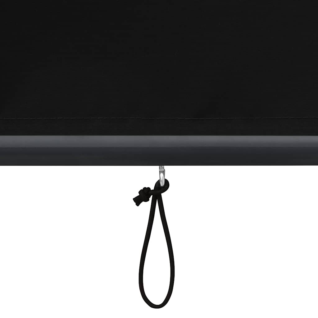 Outdoor Roller Blind 60 x 250 cm Anthracite