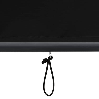 Outdoor Roller Blind 60 x 250 cm Anthracite