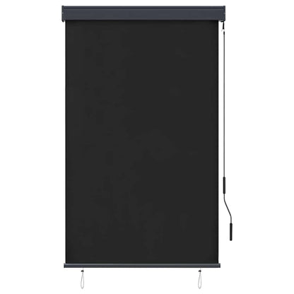 Outdoor Roller Blind 100 x 250 cm Anthracite