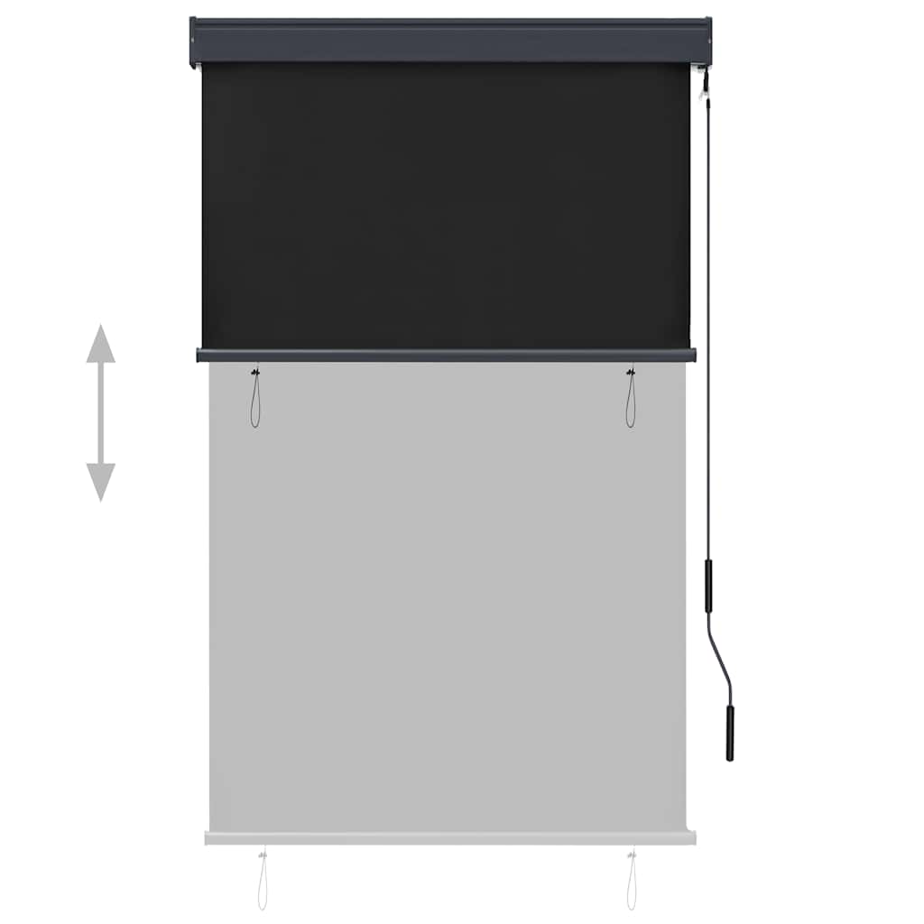 Outdoor Roller Blind 100 x 250 cm Anthracite