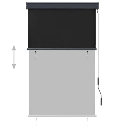 Outdoor Roller Blind 100 x 250 cm Anthracite