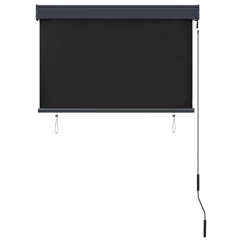 Outdoor Roller Blind 100 x 250 cm Anthracite