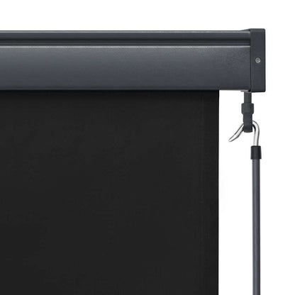Outdoor Roller Blind 100 x 250 cm Anthracite