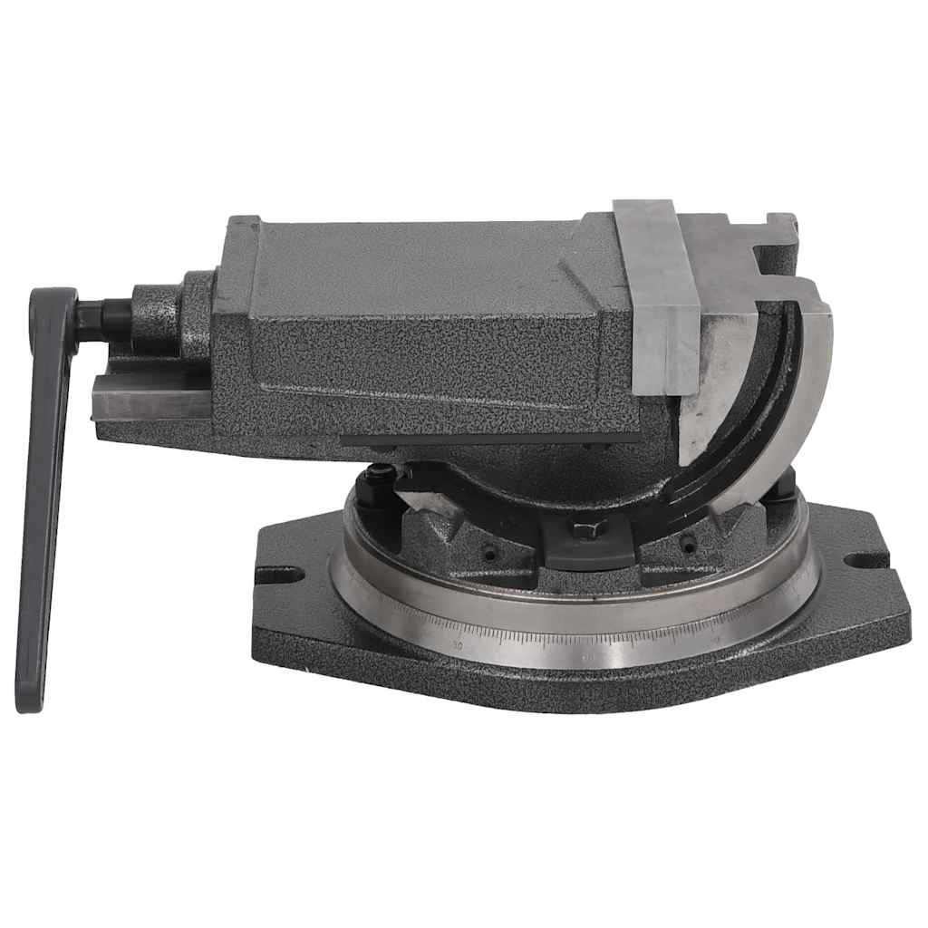 145391 vidaXL 2-Axis Tilting Vice 160 mm 2