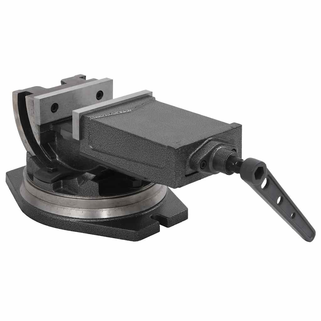 145391 vidaXL 2-Axis Tilting Vice 160 mm 3