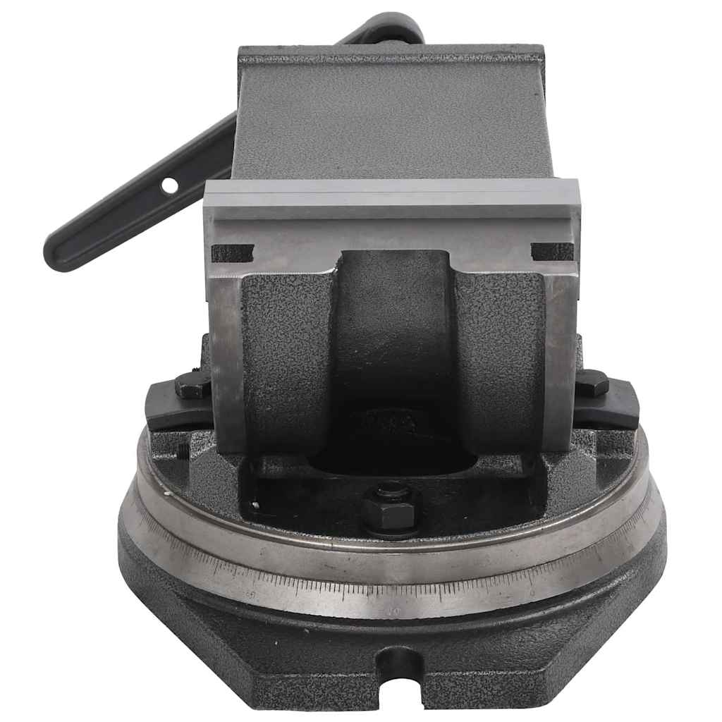 145391 vidaXL 2-Axis Tilting Vice 160 mm 4