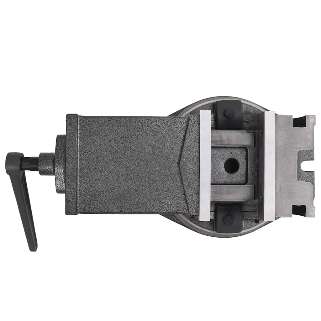 145391 vidaXL 2-Axis Tilting Vice 160 mm 6