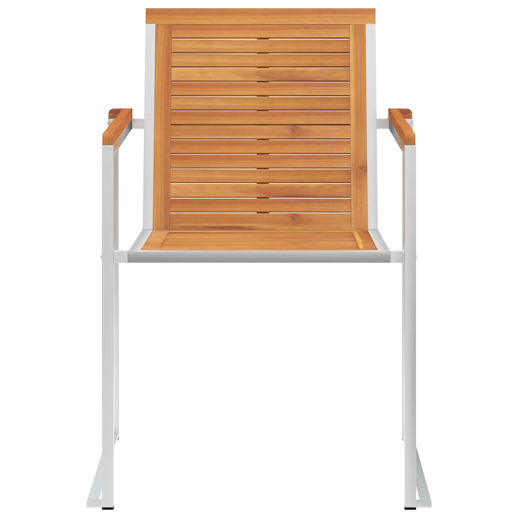 Garden Chairs and Stainless Steel 2