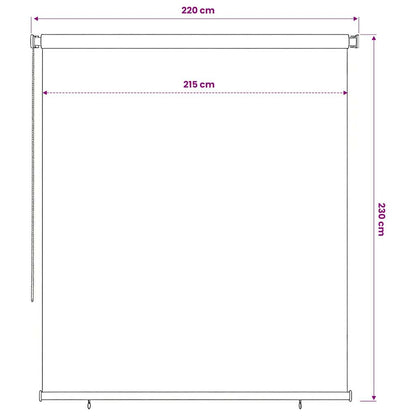 Outdoor Roller Blind 225(W)x230(H) Width 220 cm Blue