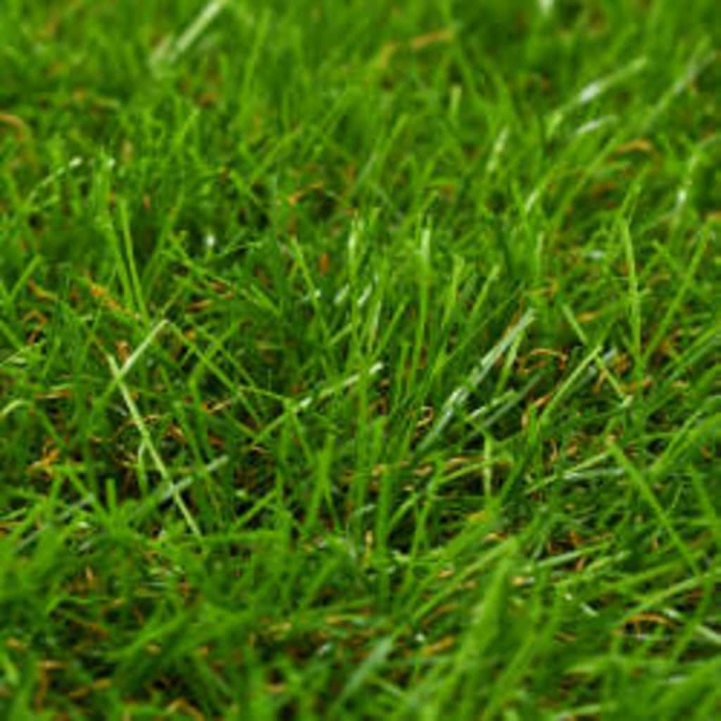 vidaXL Artificial Grass | Light green, Dark green, Brown | PP (polypropylene) 2