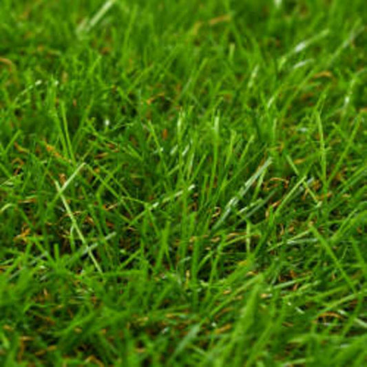 vidaXL Artificial Grass | Light green, Dark green, Brown | PP (polypropylene) 2