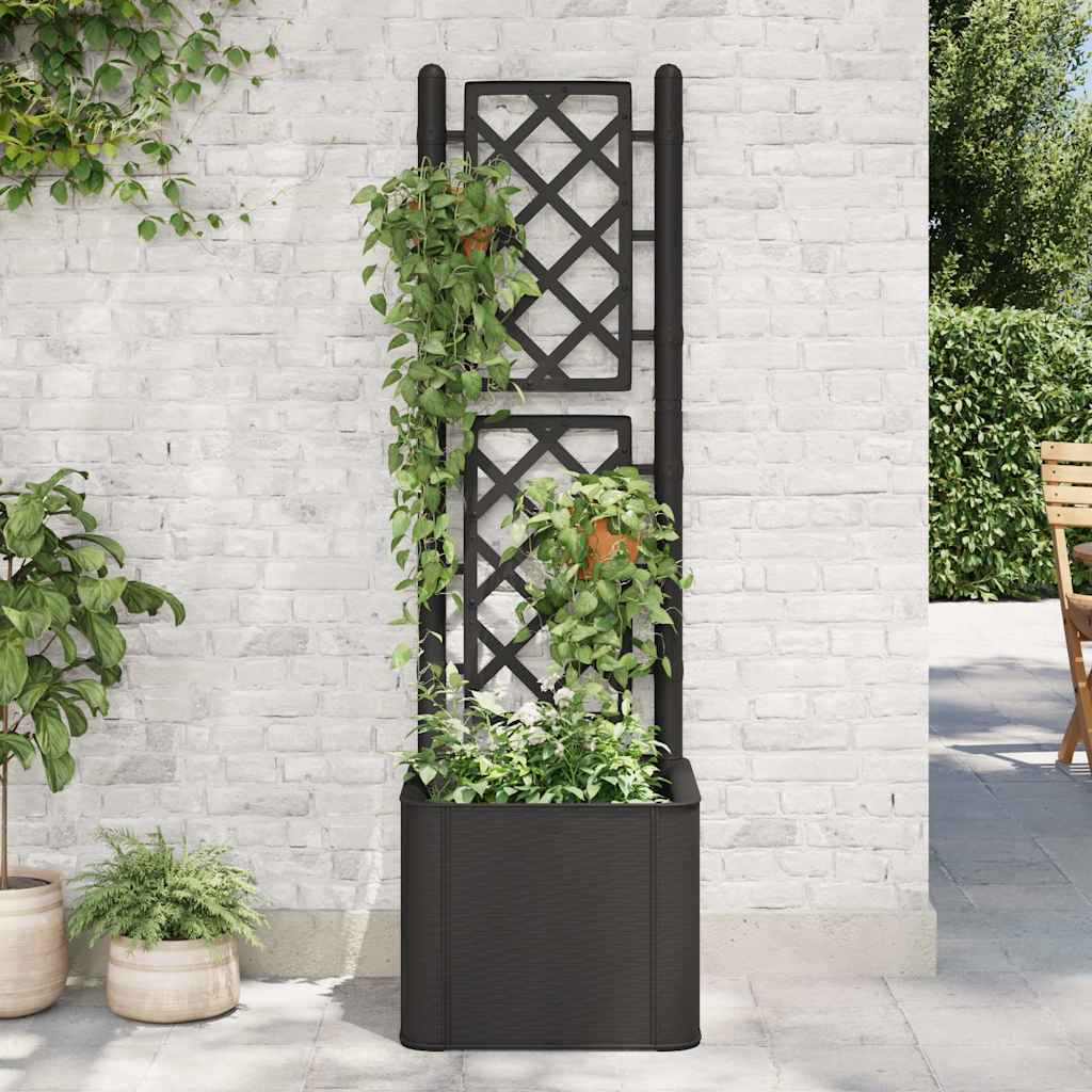Garden Raised Bed with Trellis and Self Watering System Anthracite 43 x 43 x 142 cm