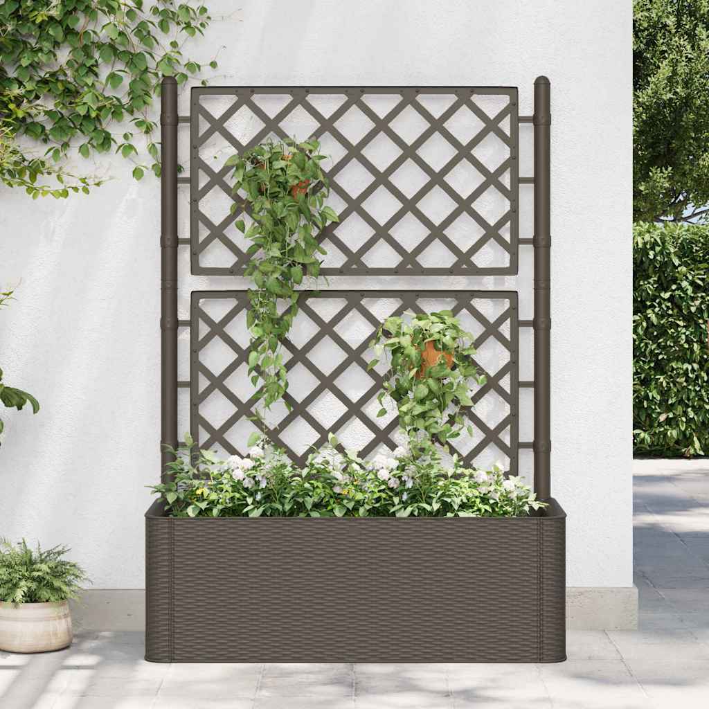 Garden Raised Bed with Trellis and Self Watering System Mocha 100 x 43 x 142 cm