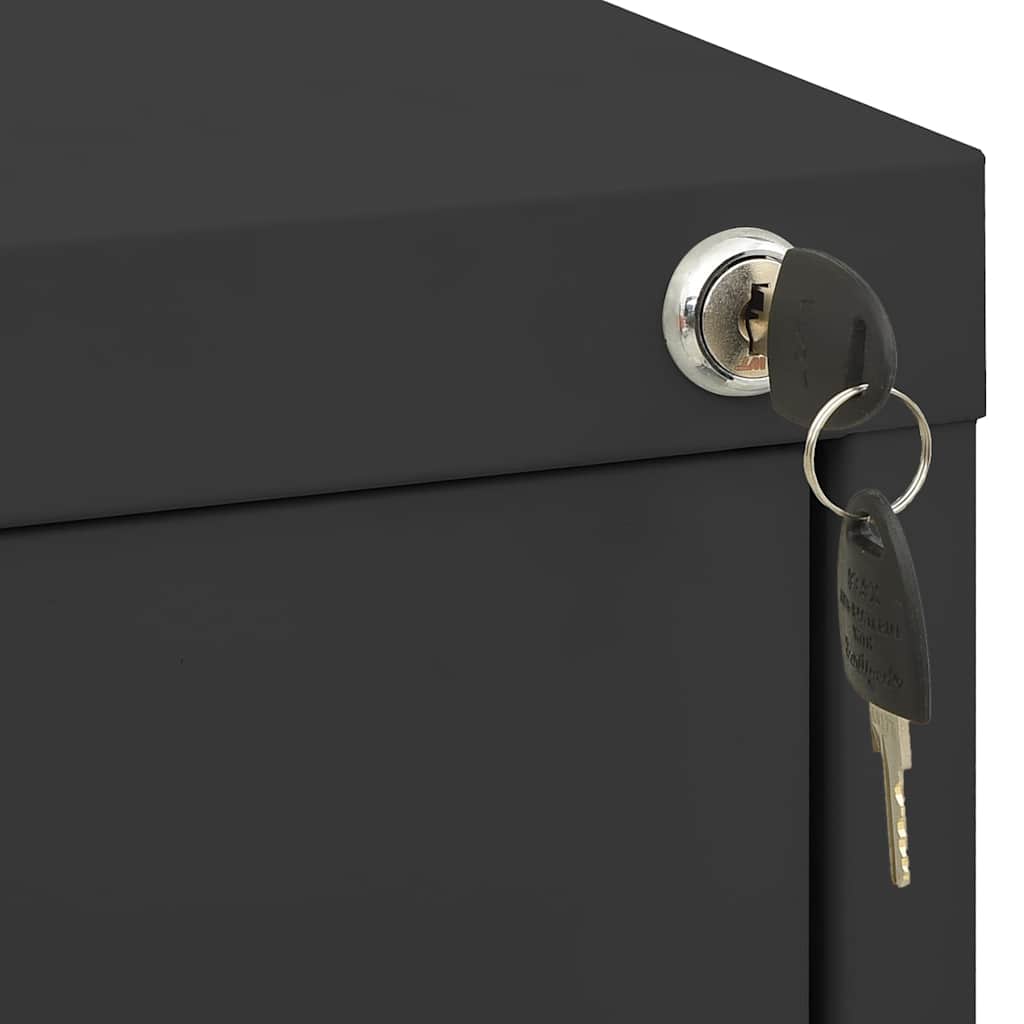 vidaXL Filing Cabinet Anthracite 46x62x102.5 cm Steel 6