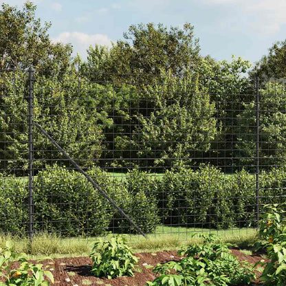 Wire Mesh Fence with Spike Anchors Anthracite 1.6 m 25 m