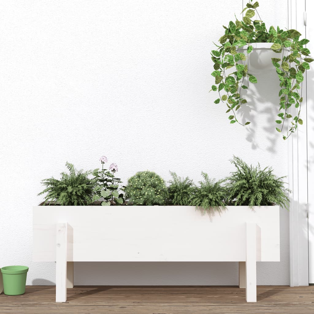 Garden Raised Bed White Solid Wood Pine Depth 30 cm 101 cm