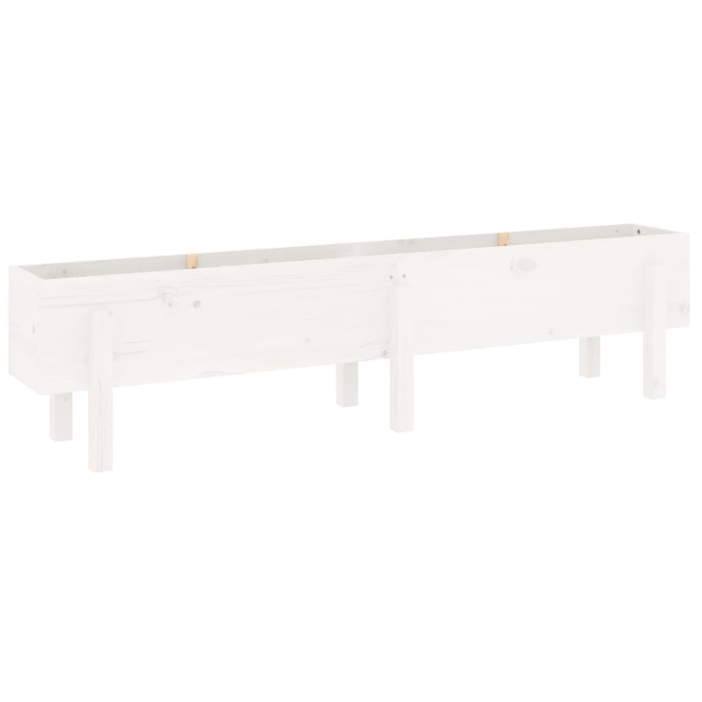Garden Raised Bed White Solid Wood Pine Depth 30 cm 160 cm