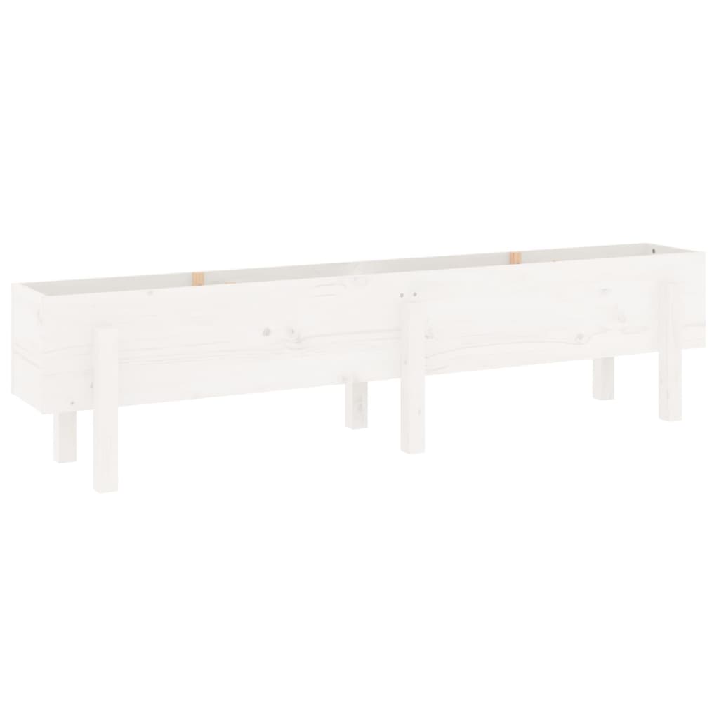 Garden Raised Bed White Solid Wood Pine Depth 30 cm 160 cm