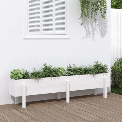 Garden Raised Bed White Solid Wood Pine Depth 30 cm 160 cm