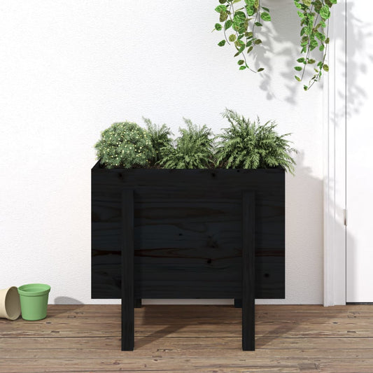 Garden Raised Bed Solid Wood Pine Depth 50 cm Black pine 62 cm