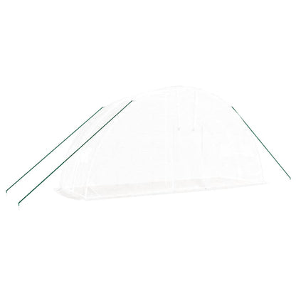 Greenhouse with Steel Frame 24 m² 6x4x2,85 m White 2 m