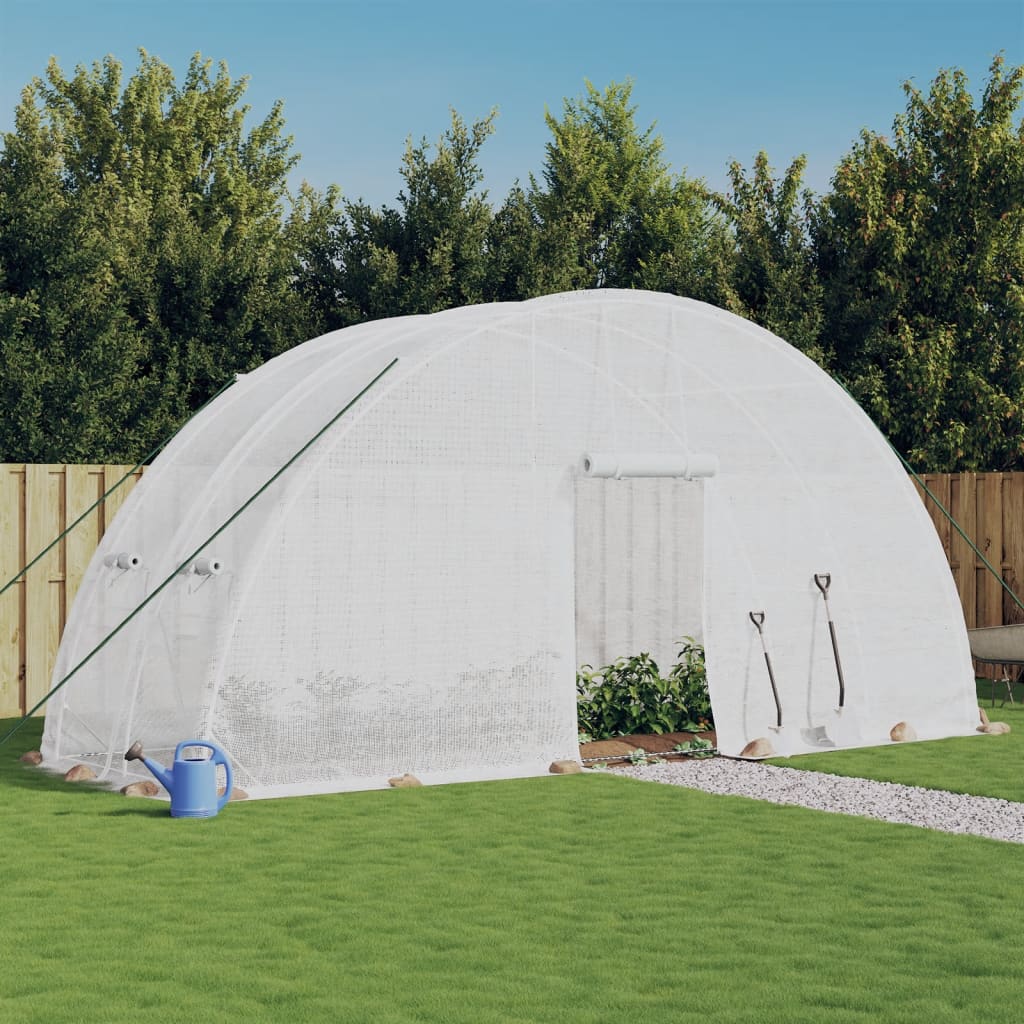 Greenhouse with Steel Frame 24 m² 6x4x2,85 m White 2 m
