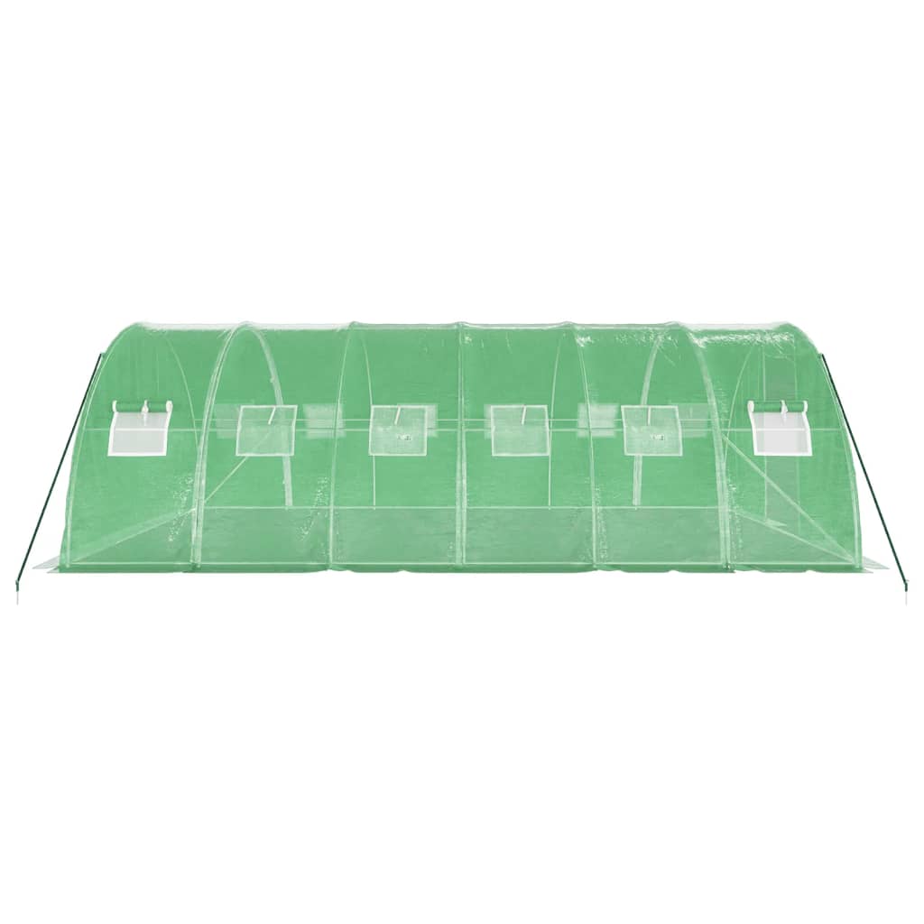 vidaXL Greenhouse with Steel Frame Green 24 m² 6x4x2 m 5
