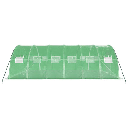 vidaXL Greenhouse with Steel Frame Green 24 m² 6x4x2 m 5