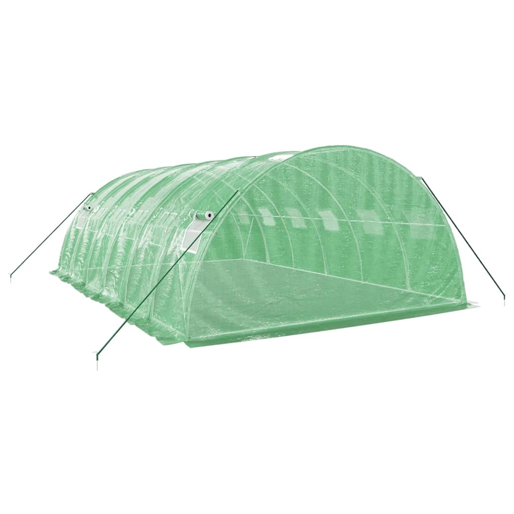 vidaXL Greenhouse with Steel Frame Green 24 m² 6x4x2 m 6