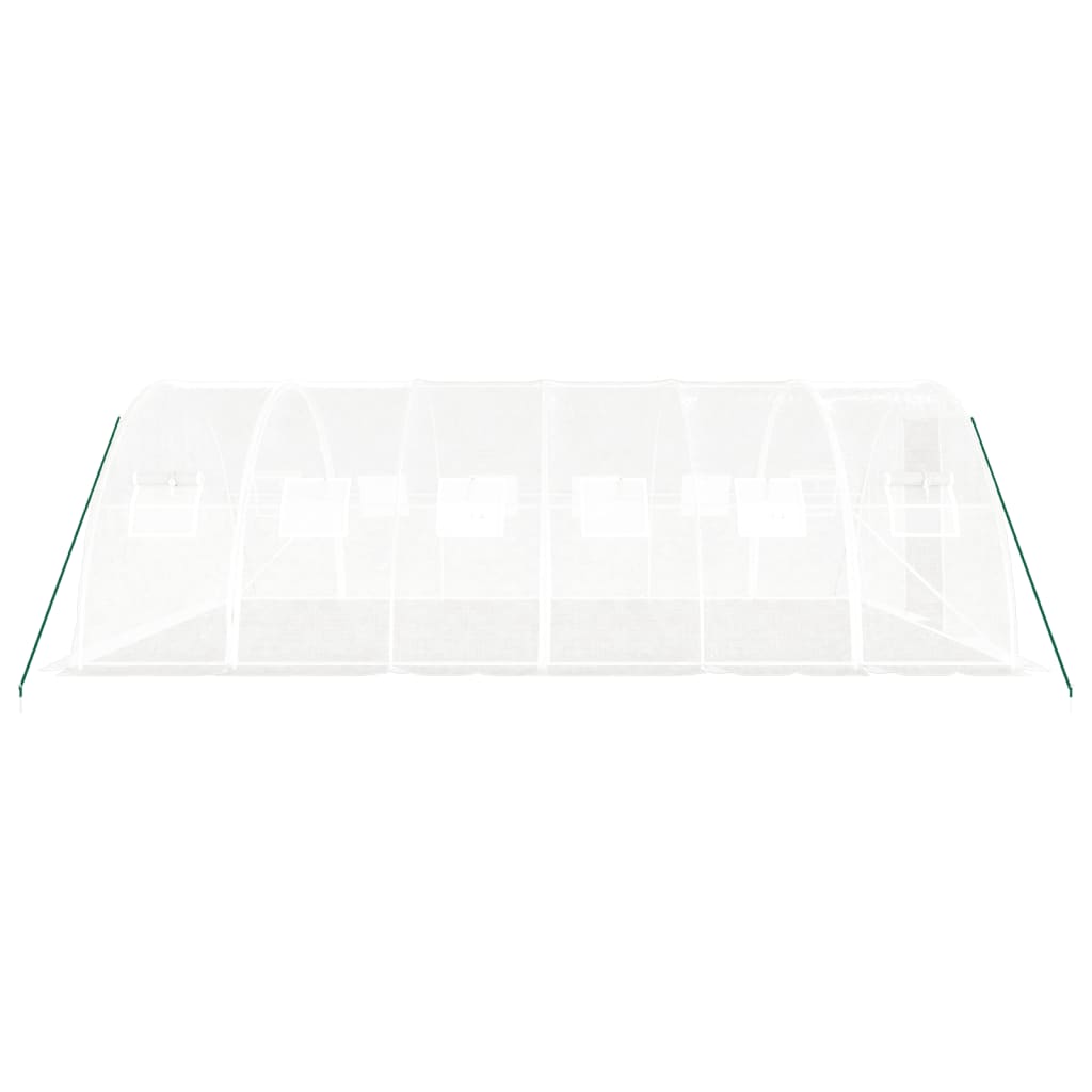 vidaXL Greenhouse with Steel Frame White 24 m² 6x4x2 m 5