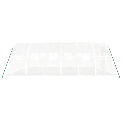vidaXL Greenhouse with Steel Frame White 24 m² 6x4x2 m 5