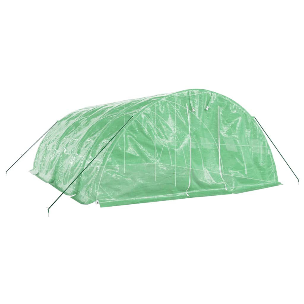 vidaXL Greenhouse with Steel Frame Green 30 m² 6x5x2,3 m 3