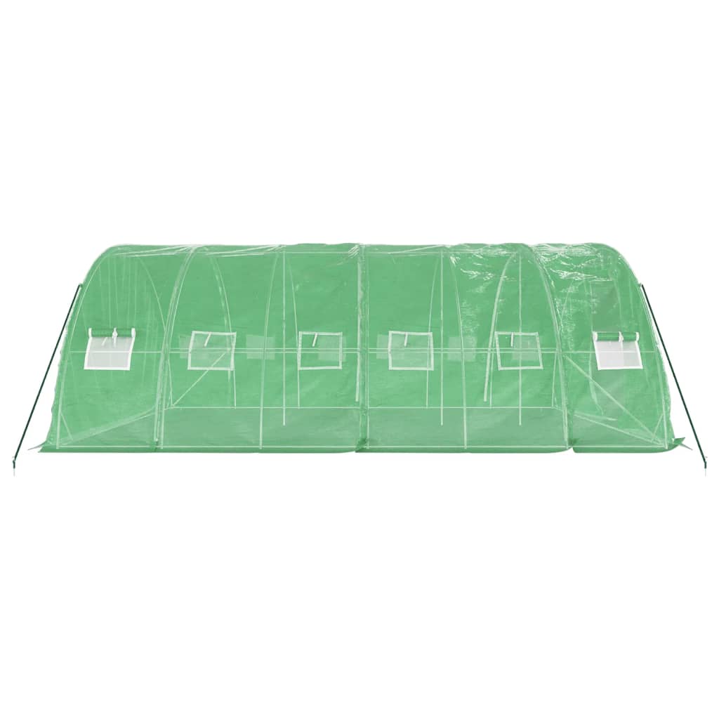 vidaXL Greenhouse with Steel Frame Green 30 m² 6x5x2,3 m 5