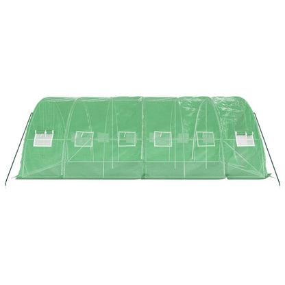 vidaXL Greenhouse with Steel Frame Green 30 m² 6x5x2,3 m 5