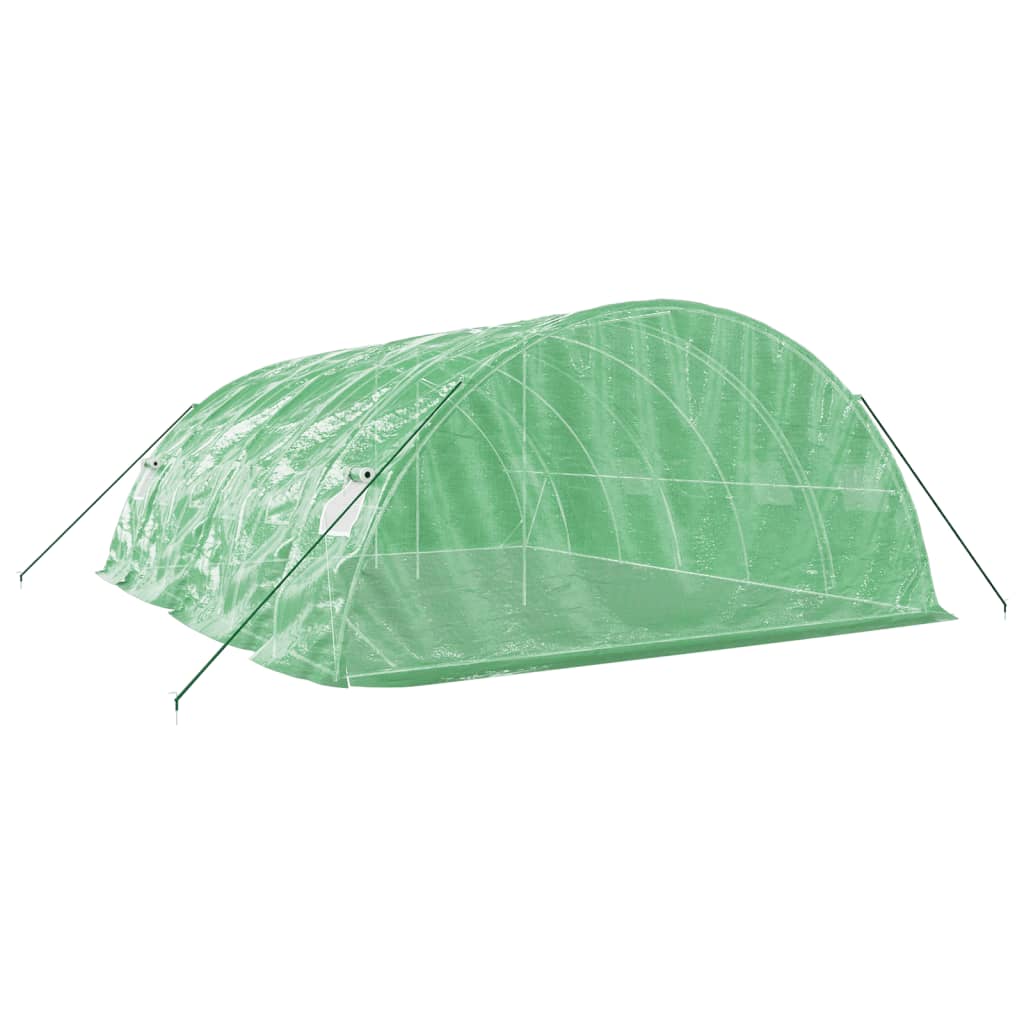 vidaXL Greenhouse with Steel Frame Green 30 m² 6x5x2,3 m 6