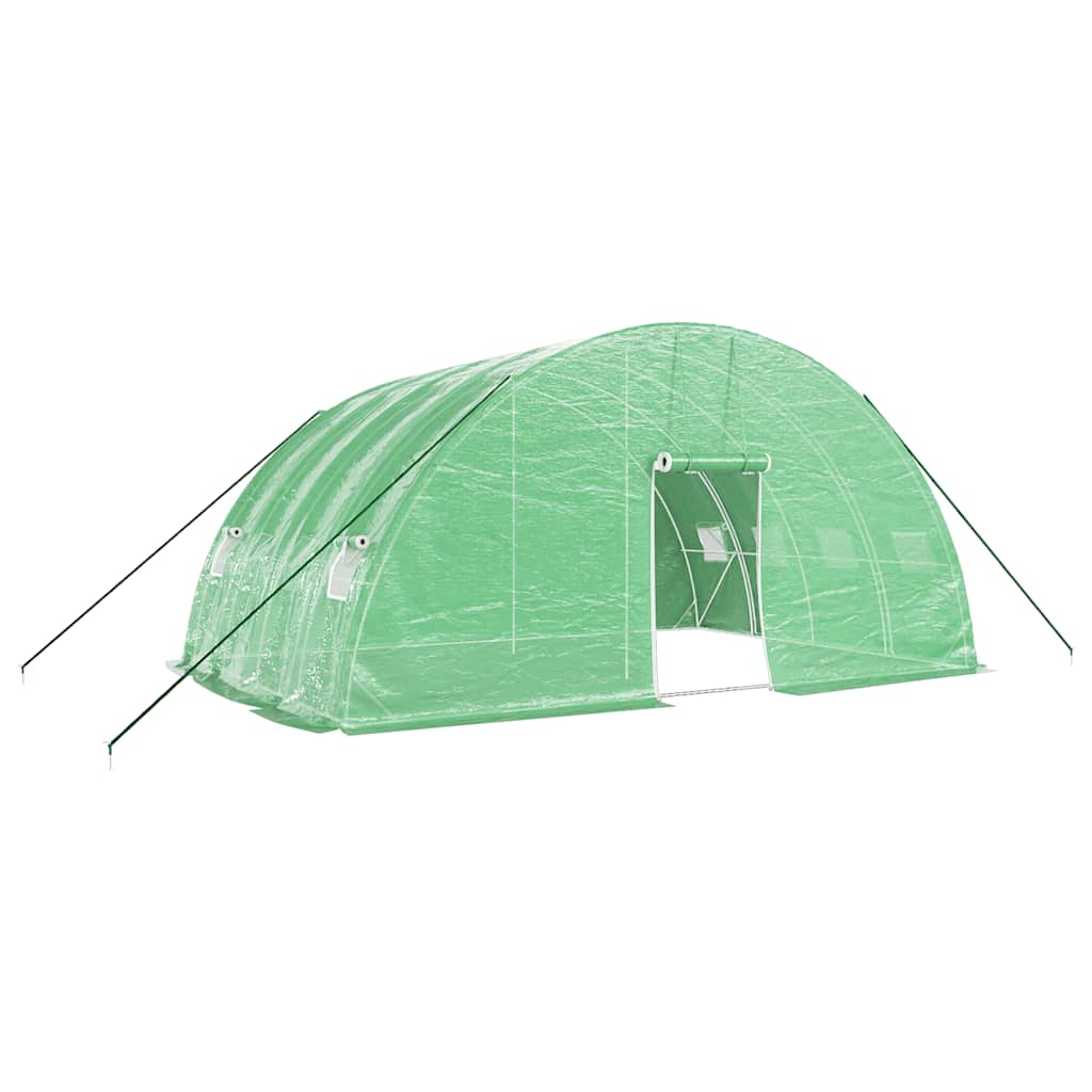 vidaXL Greenhouse with Steel Frame Green 24 m² 6x4x2,85 m 2