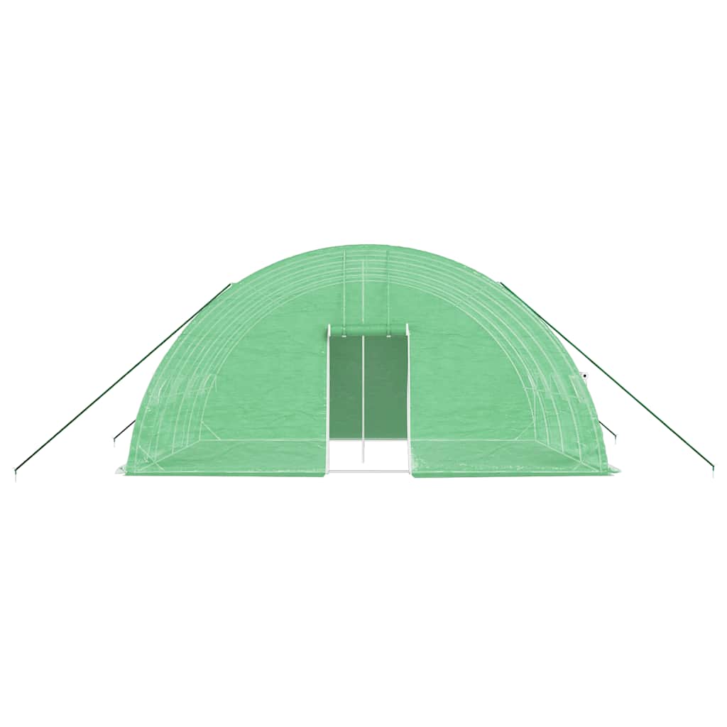 vidaXL Greenhouse with Steel Frame Green 24 m² 6x4x2,85 m 4