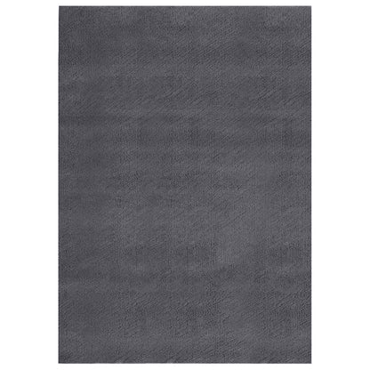 Shaggy Rug 200x275 cm Polyester Anthracite