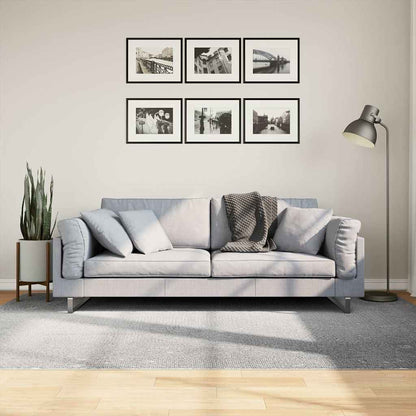 Rug IZA Short Pile Scandinavian Look Grey 160 x 230 cm