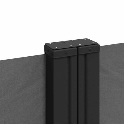 Retractable Side Awning 220x1200 cm Anthracite
